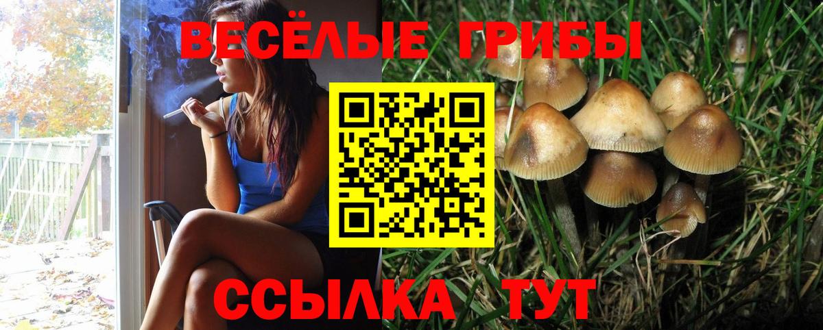 КОКАИН  Вход с VPN  Заводоуковск  МДМА  МЕТ  Конопля  Гашиш  ГАШ  Кетамин  Alpha-PVP СК   МЕФ кристаллы 