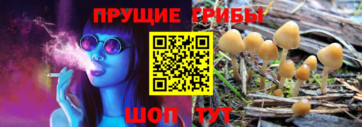Галлюциногенные грибы Psilocybine cubensis  наркошоп  Заводоуковск  Вход с VPN 
