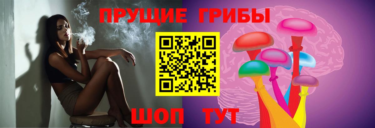 Галлюциногенные грибы Magic Shrooms Заводоуковск